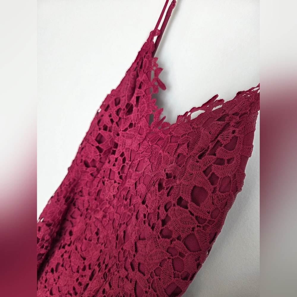 Astr Berry Lace Dress
